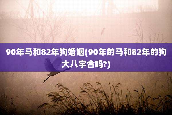90年马和82年狗婚姻(90年的马和82年的狗大八字合吗?)