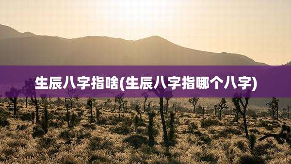 生辰八字指啥(生辰八字指哪个八字)