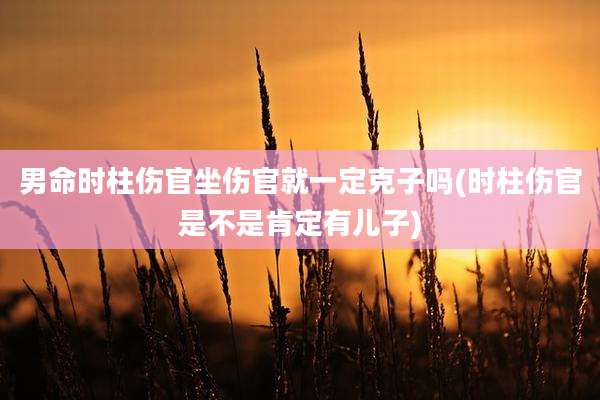 男命时柱伤官坐伤官就一定克子吗(时柱伤官是不是肯定有儿子)