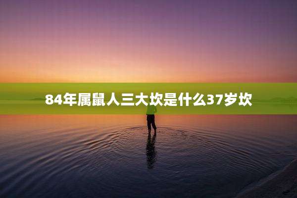 84年属鼠人三大坎是什么37岁坎