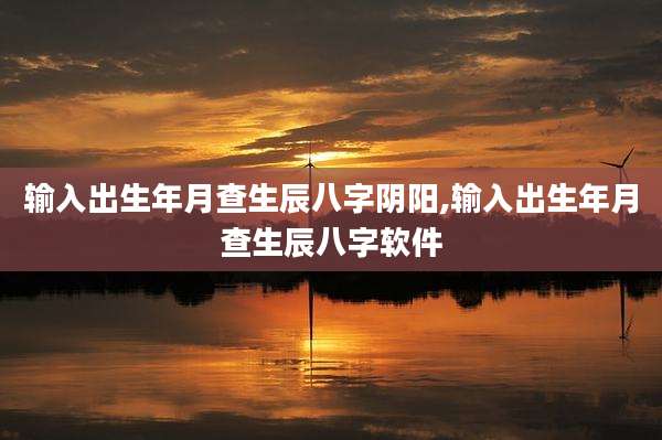 输入出生年月查生辰八字阴阳,输入出生年月查生辰八字软件