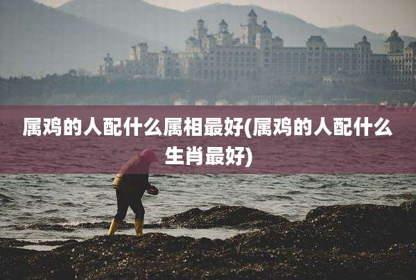 属鸡的人配什么属相最好(属鸡的人配什么生肖最好)