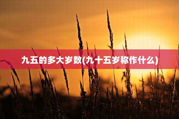 九五的多大岁数(九十五岁称作什么)