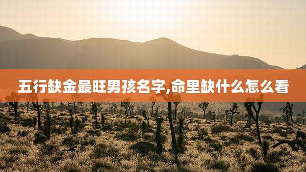五行缺金最旺男孩名字,命里缺什么怎么看