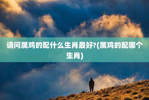 请问属鸡的配什么生肖最好?(属鸡的配哪个生肖)