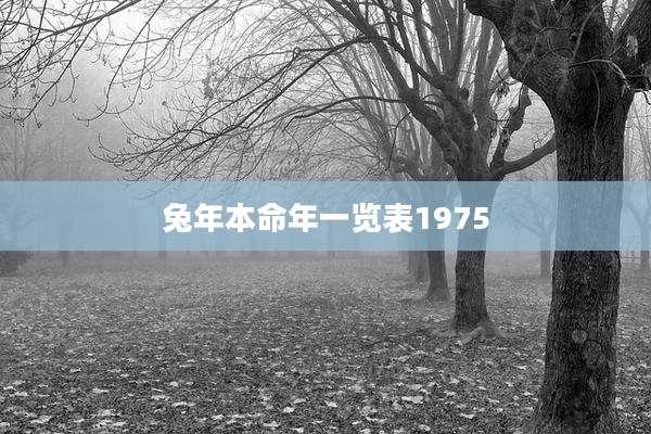 兔年本命年一览表1975