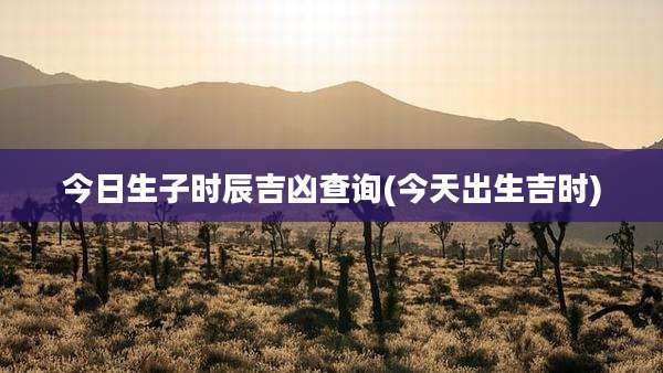 今日生子时辰吉凶查询(今天出生吉时)