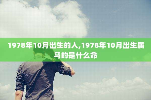 1978年10月出生的人,1978年10月出生属马的是什么命