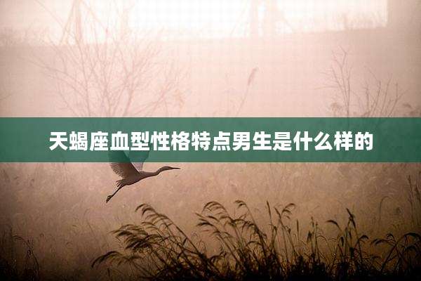 天蝎座血型性格特点男生是什么样的