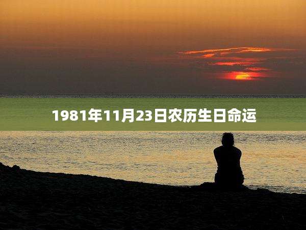 1981年11月23日农历生日命运
