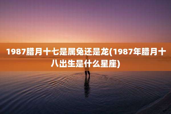 1987腊月十七是属兔还是龙(1987年腊月十八出生是什么星座)