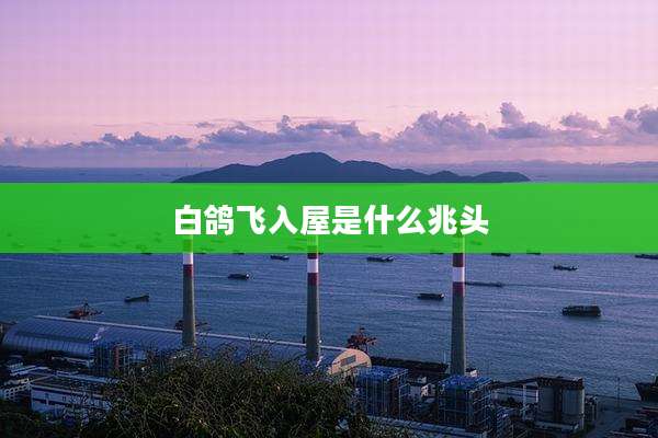 白鸽飞入屋是什么兆头