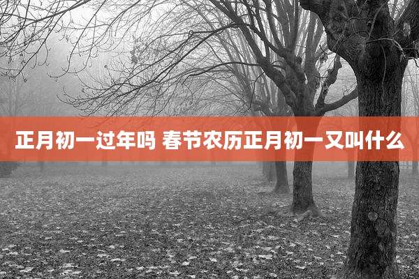 正月初一过年吗 春节农历正月初一又叫什么