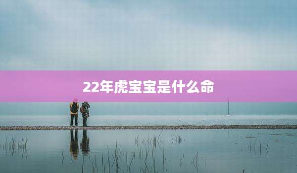 22年虎宝宝是什么命