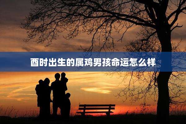 酉时出生的属鸡男孩命运怎么样