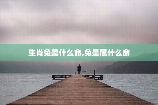 生肖兔是什么命,兔是属什么命