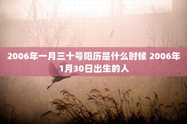 2006年一月三十号阳历是什么时候 2006年1月30日出生的人