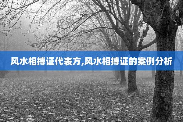 风水相搏证代表方,风水相搏证的案例分析