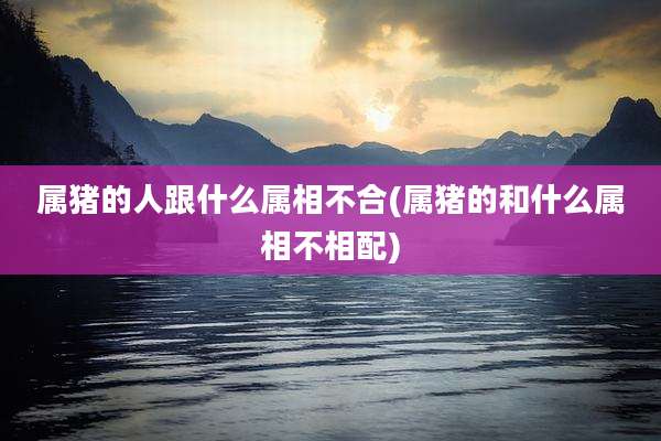 属猪的人跟什么属相不合(属猪的和什么属相不相配)