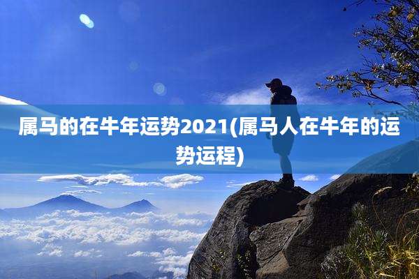 属马的在牛年运势2021(属马人在牛年的运势运程)