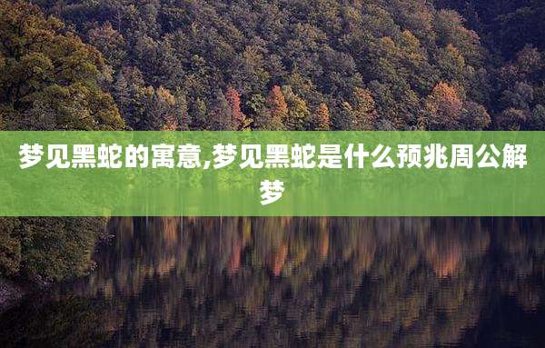 梦见黑蛇的寓意,梦见黑蛇是什么预兆周公解梦