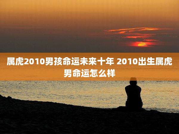 属虎2010男孩命运未来十年 2010出生属虎男命运怎么样