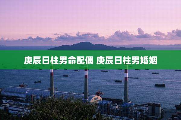 庚辰日柱男命配偶 庚辰日柱男婚姻