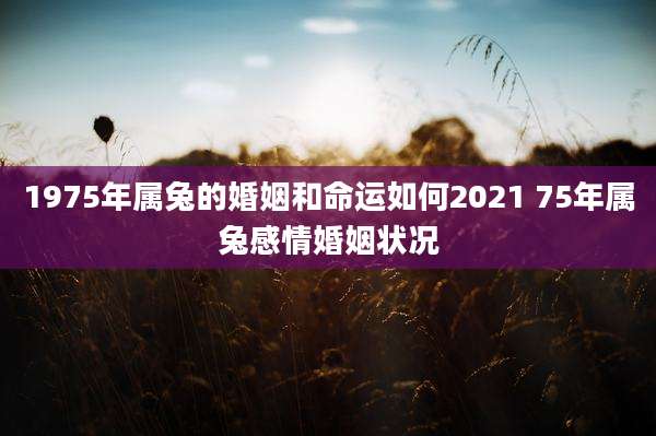 1975年属兔的婚姻和命运如何2021 75年属兔感情婚姻状况