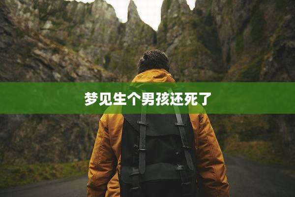 梦见生个男孩还死了