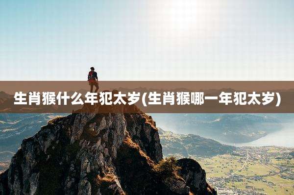生肖猴什么年犯太岁(生肖猴哪一年犯太岁)