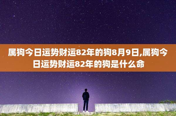 属狗今日运势财运82年的狗8月9日,属狗今日运势财运82年的狗是什么命