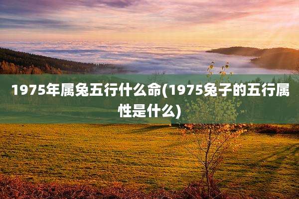 1975年属兔五行什么命(1975兔子的五行属性是什么)
