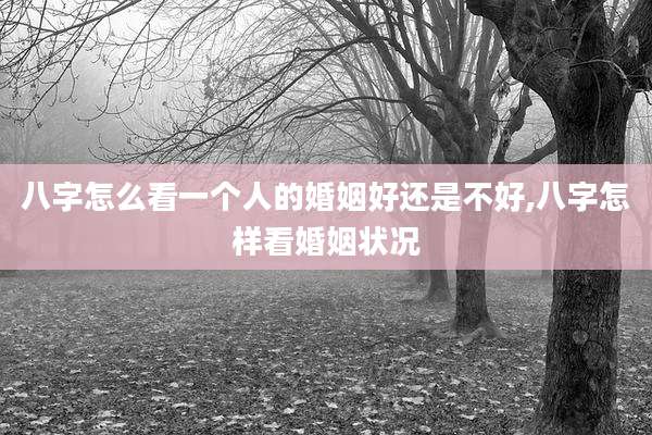 八字怎么看一个人的婚姻好还是不好,八字怎样看婚姻状况