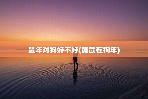 鼠年对狗好不好(属鼠在狗年)