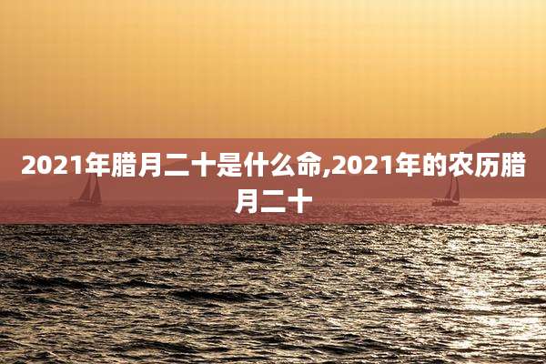 2021年腊月二十是什么命,2021年的农历腊月二十