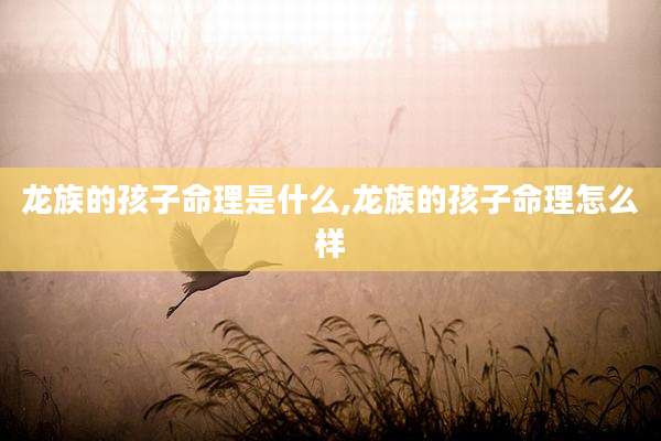 龙族的孩子命理是什么,龙族的孩子命理怎么样