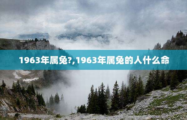 1963年属兔?,1963年属兔的人什么命