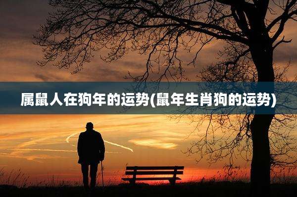 属鼠人在狗年的运势(鼠年生肖狗的运势)