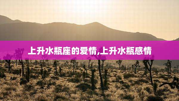 上升水瓶座的爱情,上升水瓶感情