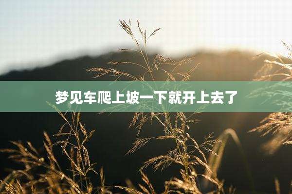梦见车爬上坡一下就开上去了