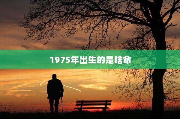 1975年出生的是啥命
