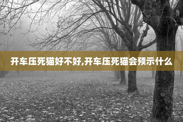 开车压死猫好不好,开车压死猫会预示什么