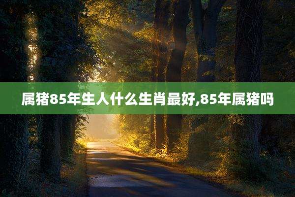 属猪85年生人什么生肖最好,85年属猪吗