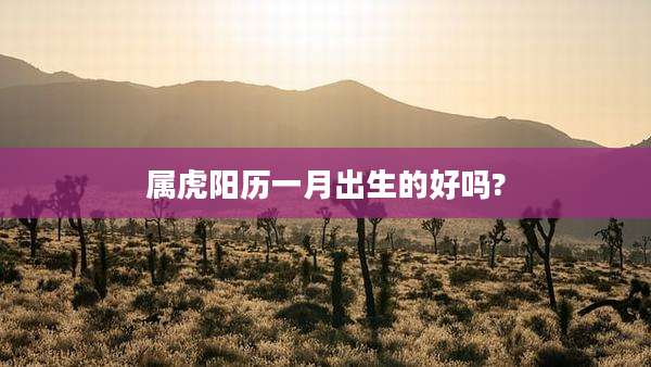 属虎阳历一月出生的好吗?