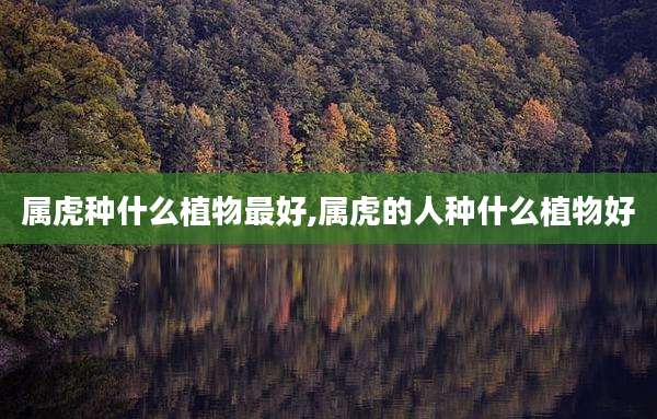 属虎种什么植物最好,属虎的人种什么植物好