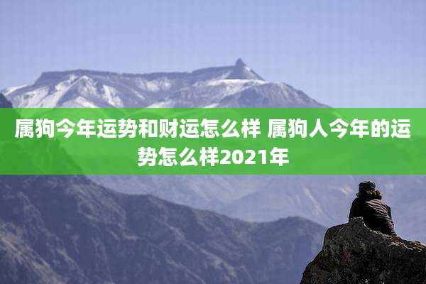 属狗今年运势和财运怎么样 属狗人今年的运势怎么样2021年