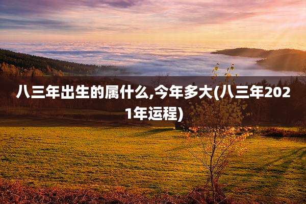 八三年出生的属什么,今年多大(八三年2021年运程)