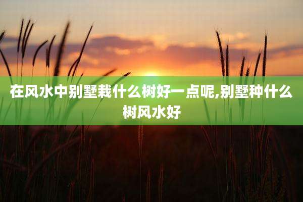 在风水中别墅栽什么树好一点呢,别墅种什么树风水好