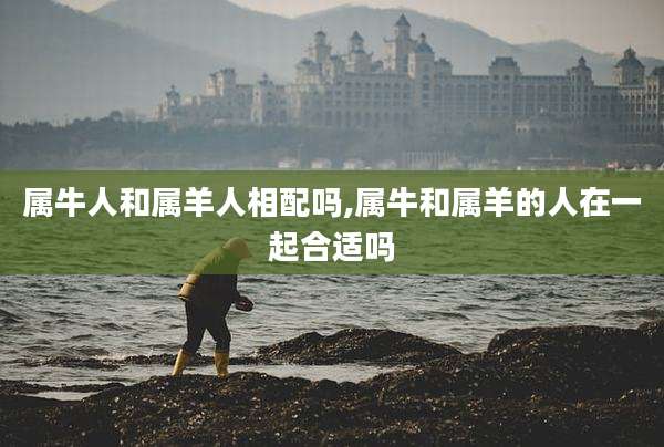 属牛人和属羊人相配吗,属牛和属羊的人在一起合适吗