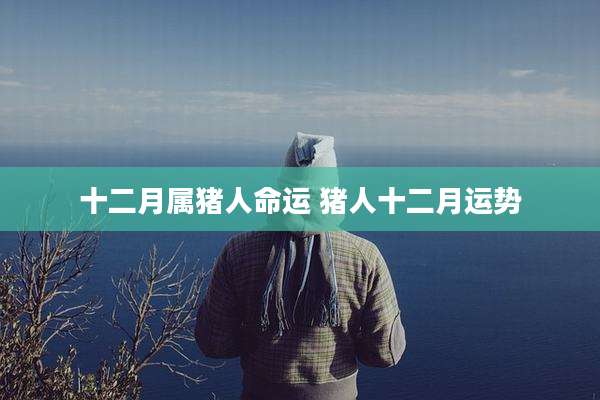 十二月属猪人命运 猪人十二月运势